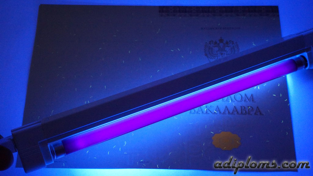 Диплом бакалавра 2014-2026 Фото