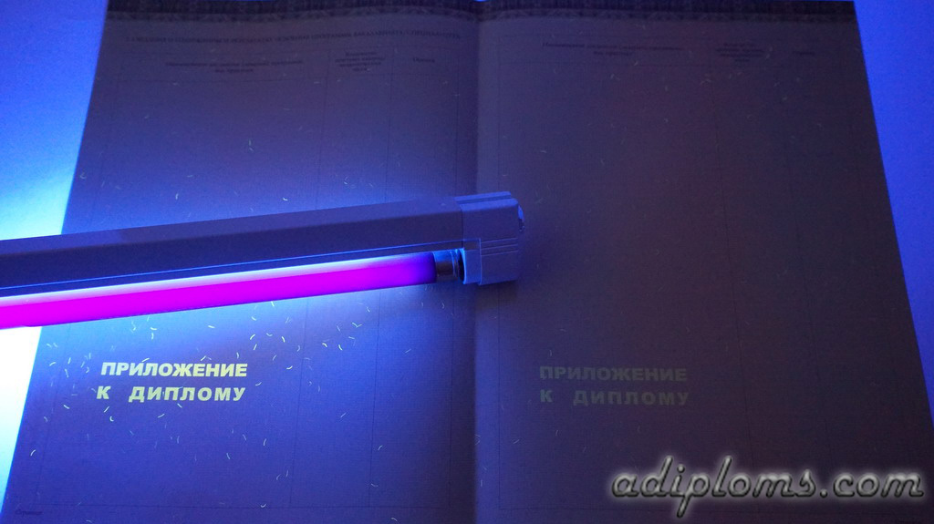 Диплом бакалавра 2014-2026 Фото